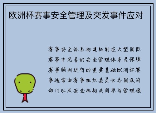 欧洲杯赛事安全管理及突发事件应对